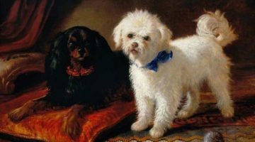 Joseph Denovan Adam | Two Dogs, 1872 | Stirling Smith Art Gallery and Museum – Stirling, Scotland