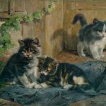 Julius Adam | Drei spielende Kätzchen