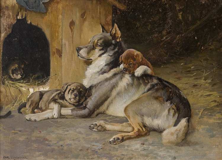 Karl Kristian Uchermann - Norwegischer Elchhund mit Welpen, 1894