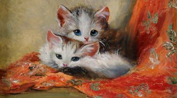 Meta Plückebaum | Kittens