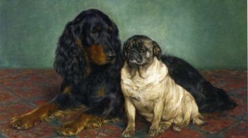 Otto Bache | A Gordon Setter and a Pug, 1885