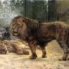 Paul Friedrich Meyerheim | Watching the Lions