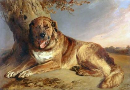 Richard Ansdell | A Mastiff, 1841 | Photo credit: Walker Art Gallery