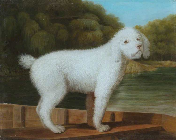 George Stubbs, White Poodle in a Punt