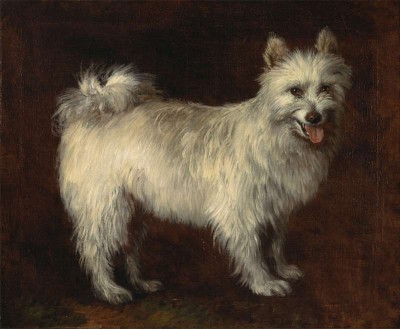 Thomas Gainsborough | Spitz Dog, ca. 1765