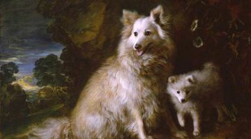 Thomas Gainsborough | Pomeranian Bitch and Puppy, ca. 1777