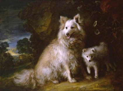 Thomas Gainsborough | Pomeranian Bitch and Puppy, ca. 1777