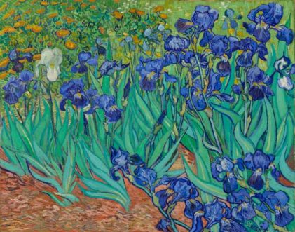 Vincent van Gogh | Irises, 1889